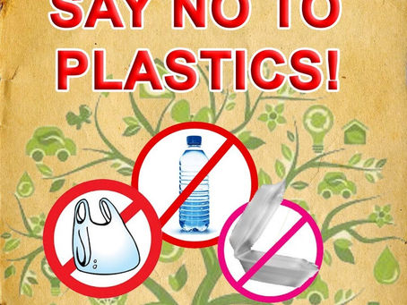 Single-Use Plastic-Free February!