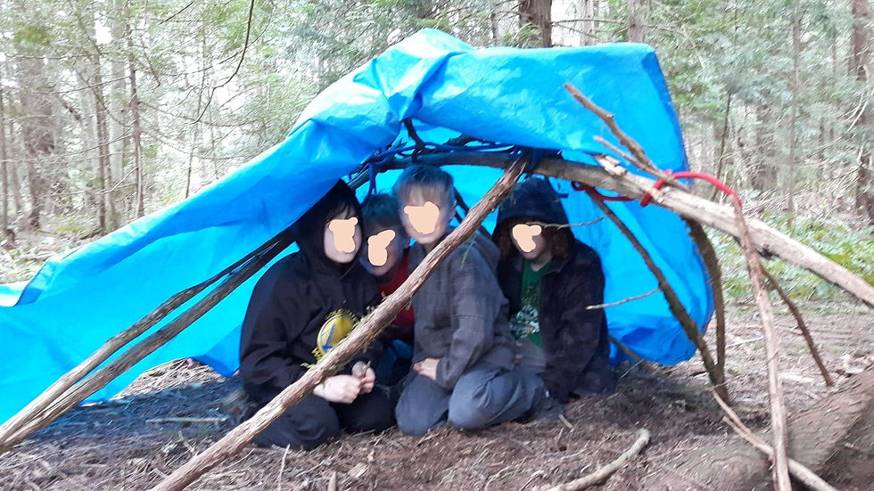 Quick emergency shelters on Salt Spring