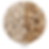 Adder Gravel Dry Wet S