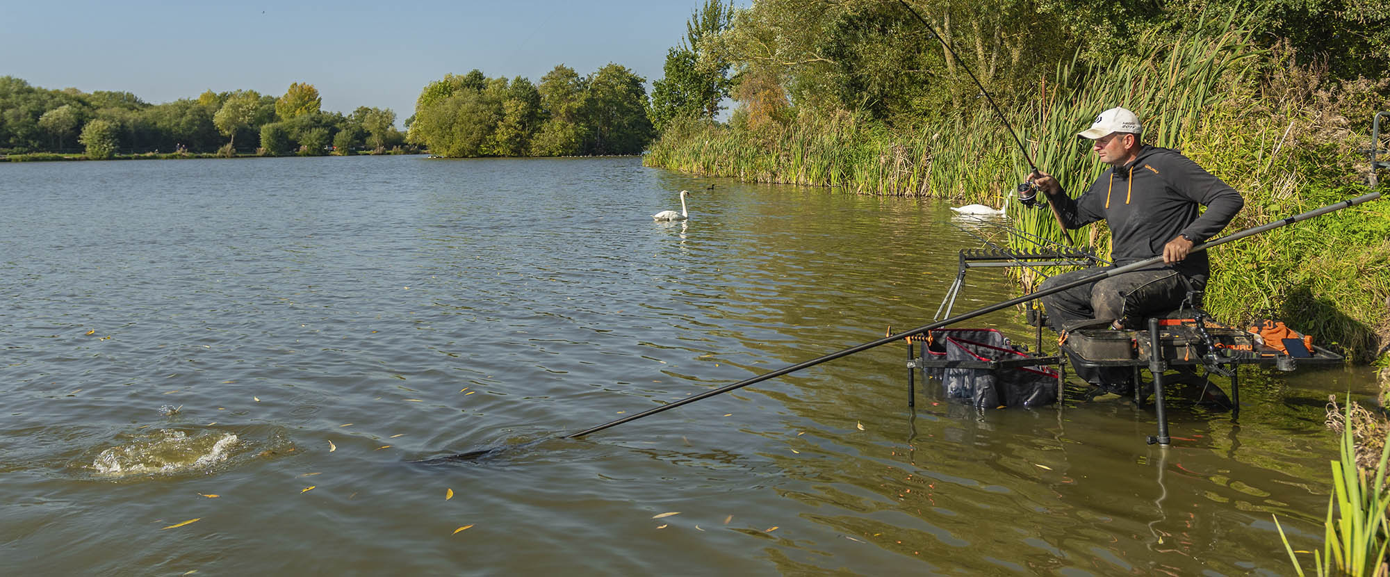 Feeder fishing steve ringer Clearance