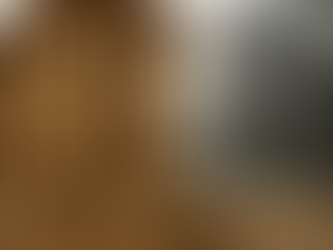 Comparison of light steel house and wooden house maintenance