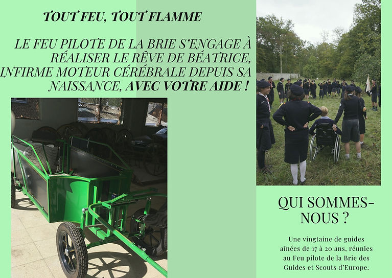 AGSE projet calèche 1.jpg