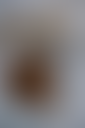 Sweet Potato Flapjack