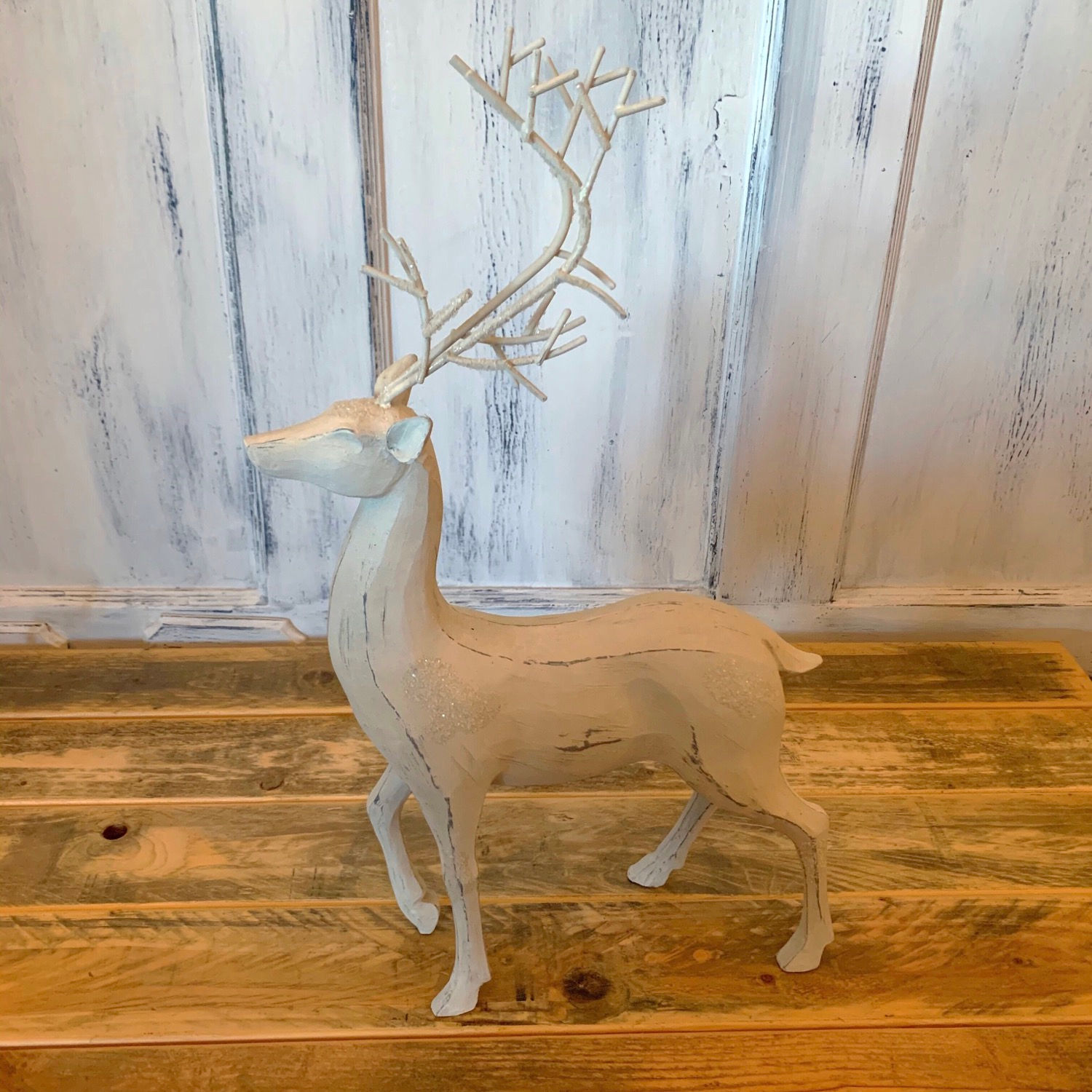White antler deer 