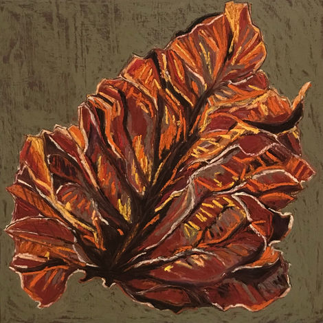 single fall leaf in shades of brown and orange