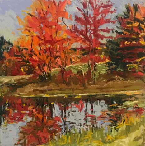 fall trees reflected on a lake