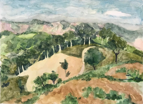 Hilly landscape with trees.