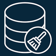 data quality and cleansing