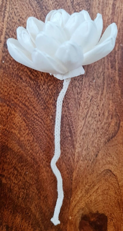 Thumbnail: Natural Wooden Flower Diffuser Reed