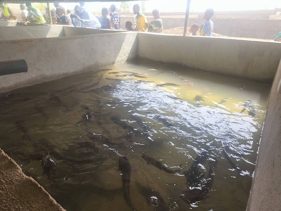 Infrastructures halieutiques : le ministre Youba Ba salue l’appui du PRTD lors d’une mission à Koulikoro