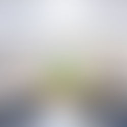 Mali : assainissement, sécurité et économie au cœur du Conseil des ministres