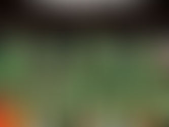 Basketball féminin : le Mali bouscule la hiérarchie mondiale et valide son billet pour le Mondial 2026