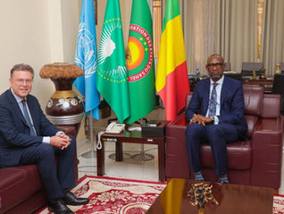 Diplomatie : le Mali et l’Autriche explorent de nouvelles pistes de coopération