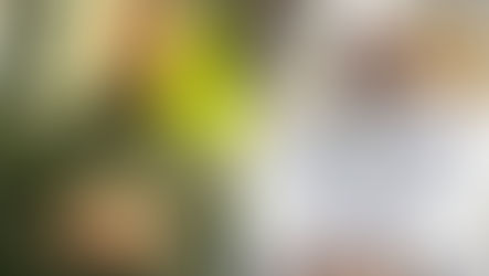 Cybercriminalité : trois figures publiques rappelées à l’ordre après des propos en ligne