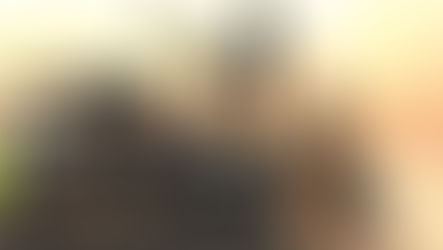 Mali : les FAMa déjouent une attaque terroriste à Kolondiéba