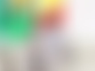 Visite de solidarité : le Représentant de l’ONU pour l’Afrique de l’Ouest et le Sahel reçu par le Premier ministre