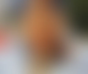 "Sona Tata Condé : une étoile guinéenne au croisement des traditions et des sons modernes".