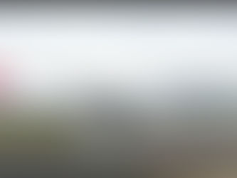 Afrique subsaharienne : la Belgique ferme plusieurs ambassades et redéfinit sa stratégie diplomatique