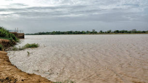 Fleuve Niger à Bamako : une eau jaunâtre qui inquiète pêcheurs et riverains
