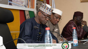 Industrie malienne : compter pour mieux bâtir