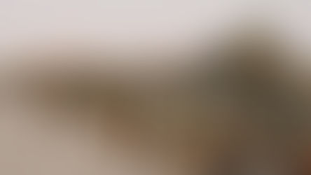 Les forces armées intensifient la traque des groupes terroristes