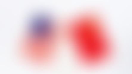 Xi Jinping et Donald Trump s’engagent à renforcer le dialogue sino-américain