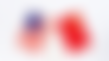 Xi Jinping et Donald Trump s’engagent à renforcer le dialogue sino-américain