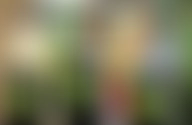 Sahel : les ministres de l’AES bouclent à Ouagadougou le plan d’action pour la deuxième année de la Confédération