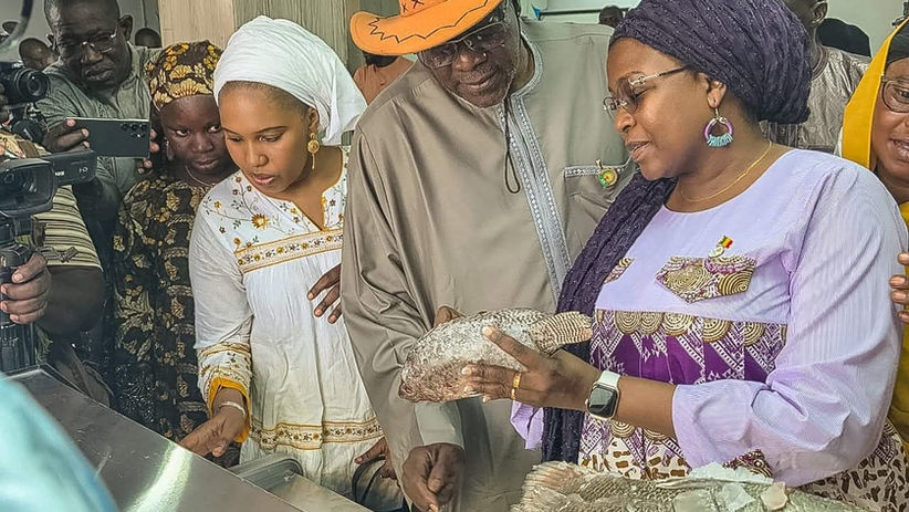 Sécurité alimentaire : l’Environnement et la Pêche conjuguent leurs efforts à Safo