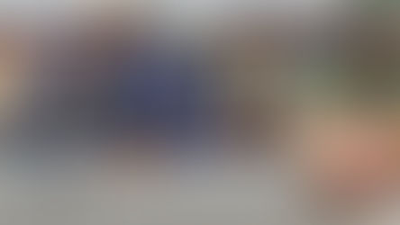 Mali : la Direction générale des Eaux et Forêts tient sa réunion annuelle à Tabakoro