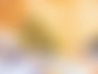 Viande au Mali : le gouvernement cherche des solutions face à la flambée des prix