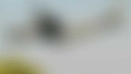 Forêt de Soussan : opération des FAMa, plus d’une centaine de terroristes neutralisés