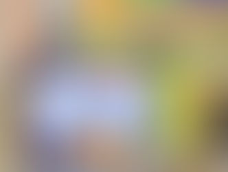 L’UEMOA mobilise 100 millions FCFA pour renforcer la riposte du Mali face au criquet pèlerin