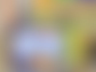 L’UEMOA mobilise 100 millions FCFA pour renforcer la riposte du Mali face au criquet pèlerin