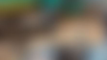 Bamako : une cargaison d’explosifs, de mercure et de drogue interceptée par la douane