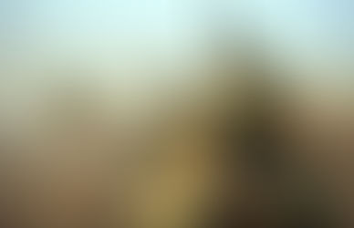 Sécurisation d’un axe stratégique dans le sud du Mali : l’aviation des FAMa frappe des bases terroristes en forêt