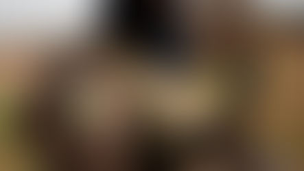 Les FAMa repoussent une embuscade terroriste près de Goundam et neutralisent une logistique ennemie