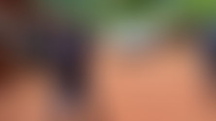 Burundi : six personnes lynchées à mort pour sorcellerie, les Imbonerakure pointés du doigt