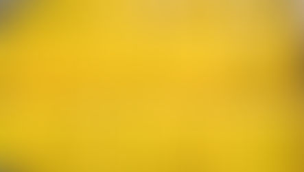 Bamako : plus de mille bidons d’huiles végétales saisis grâce à un renseignement douanier