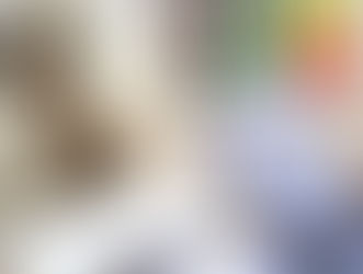 Coopération : le PNUD réaffirme son engagement aux côtés du Mali