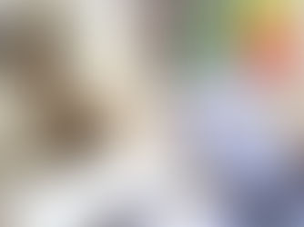 Coopération : le PNUD réaffirme son engagement aux côtés du Mali