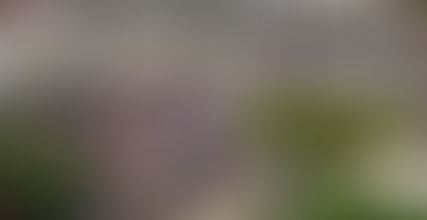 Tensions à Dakar : le FRAPP dénonce les Assises Africaines de la Démocratie à l’UCAD