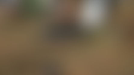 Togo : Une attaque djihadiste repoussée à la frontière avec le Burkina Faso