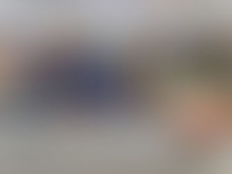 Gestion des forêts : les responsables du secteur évaluent les actions et préparent les priorités de 2026