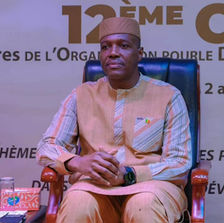 12e Conférence de l’ODEPA à Bamako : le Mali plaide pour un nouvel élan en faveur de l’artisanat africain