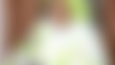 Emploi : l’ONEF affiche 77 % de réalisations à l’ouverture de son Conseil d’administration