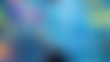 Foire de l’AES à Niamey : l’intégration économique au cœur de la dynamique sahélienne