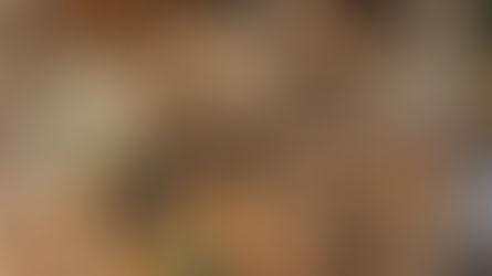 Produits locaux : Vers la valorisation des médicaments traditionnels