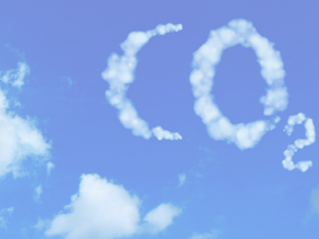 Malin Fezehai, Capturing Sustainability Issues Beyond Her Lenses