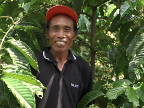 Meet Our Coffee Farmers!